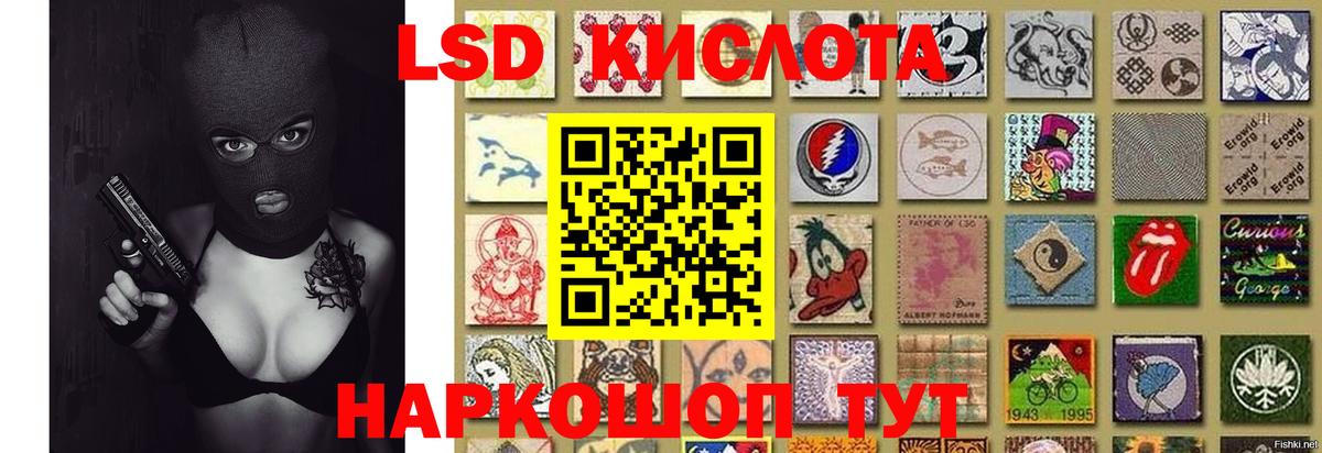 Гай  Лсд 25 экстази  ЛСД экстази ecstasy  Вход с VPN  ЛСД экстази кислота 