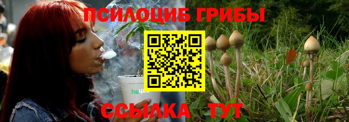 Гай  цена   Вход с VPN  Галлюциногенные грибы MAGIC MUSHROOMS 