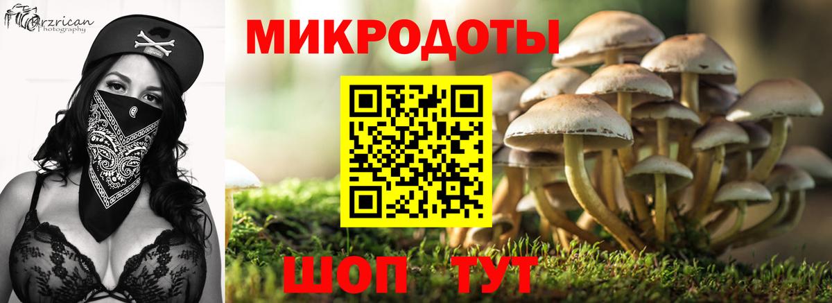 Галлюциногенные грибы прущие грибы Гай